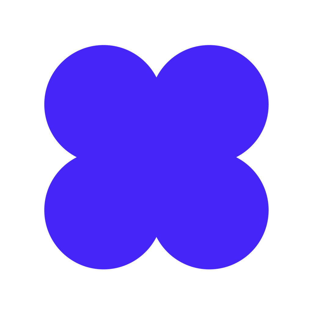 ÉLÉMENTS GRAPHIQUES - EXPERTISE-03